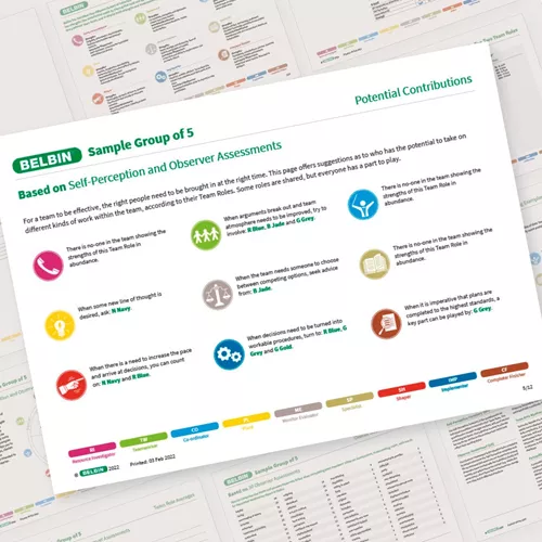 Example of a Team Report