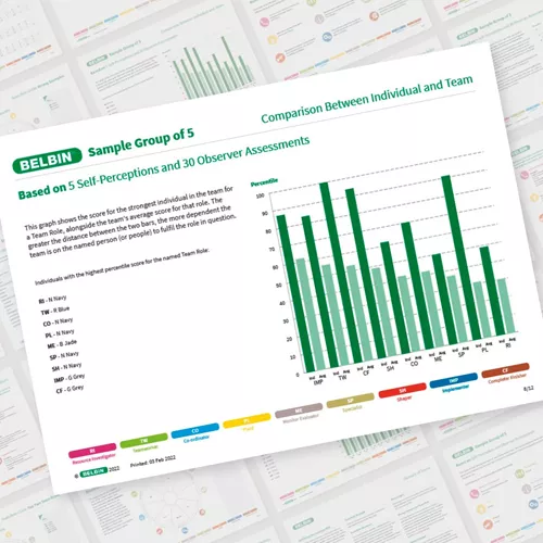 Example of a Team Report