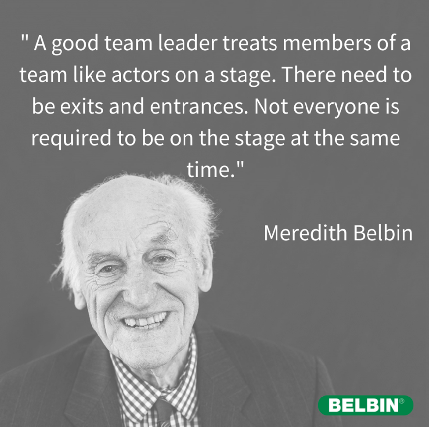 what-are-the-nine-belbin-team-roles-belbin-north-america