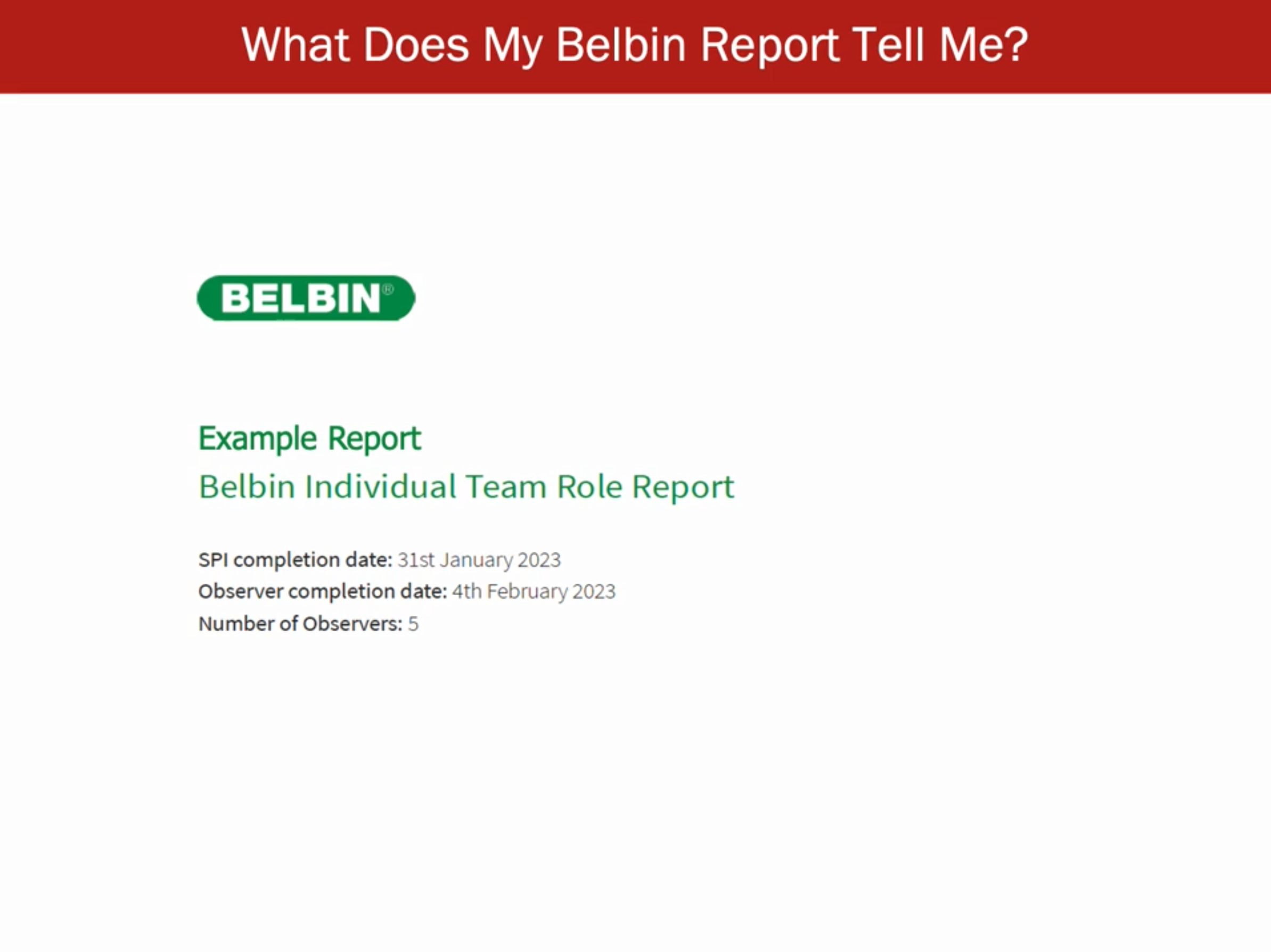 Reading A Belbin Report thumbnail