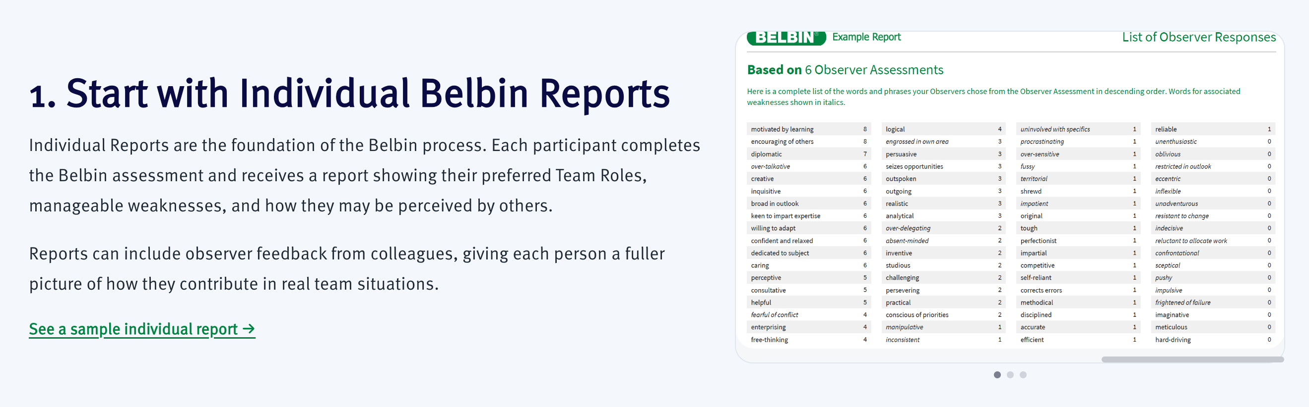Getting Started With Belbin Reports thumbnail