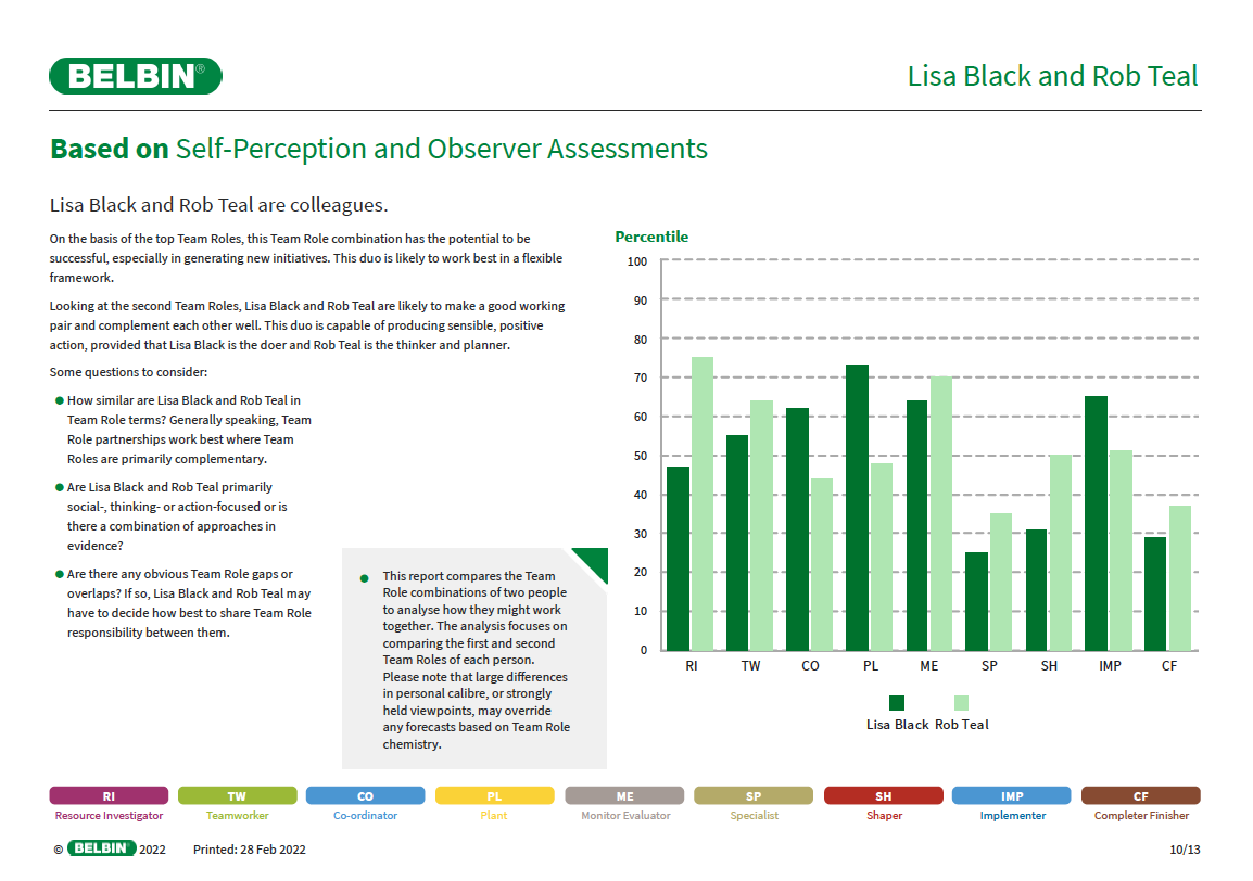Belbin Working Relationship Report
