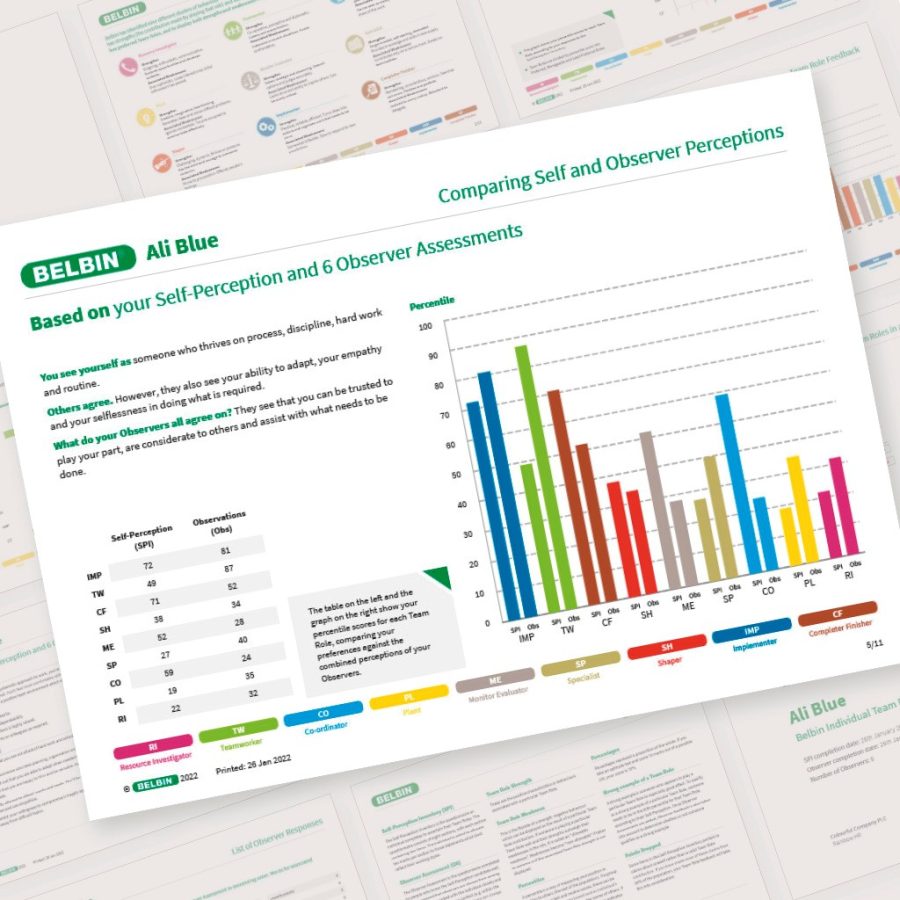 belbin-individual-report-comparing-self-and-observer-perceptions-showcase